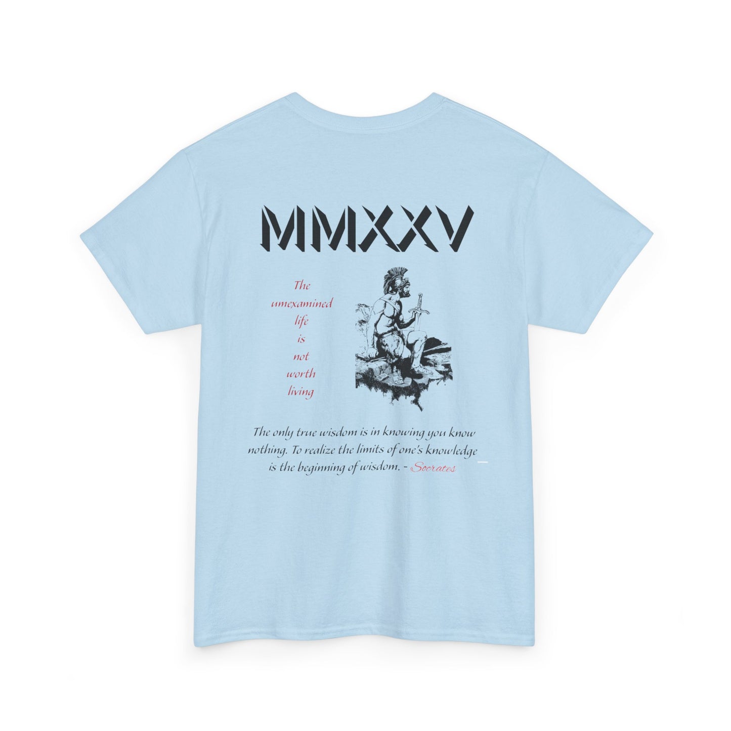 Roman Graphic-T
