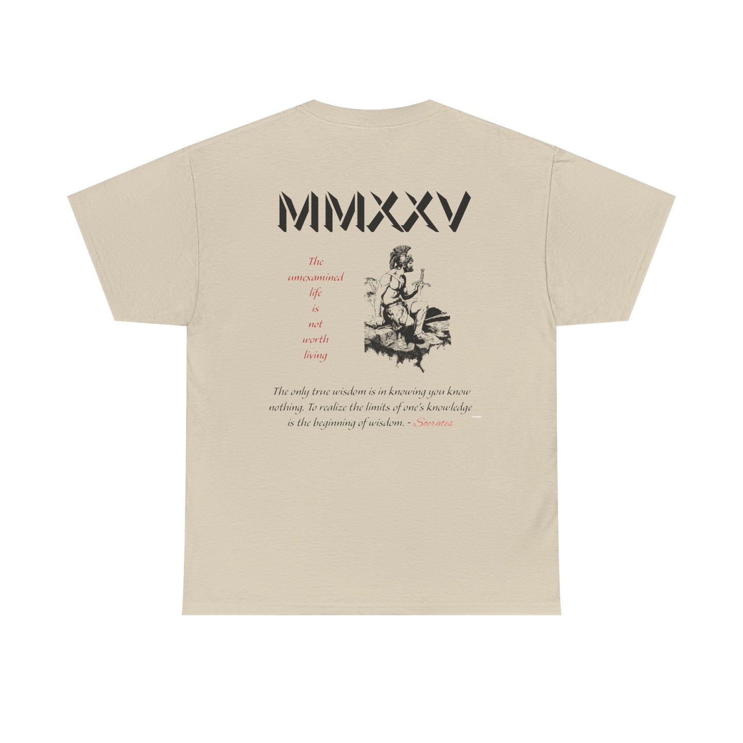 Roman Graphic-T