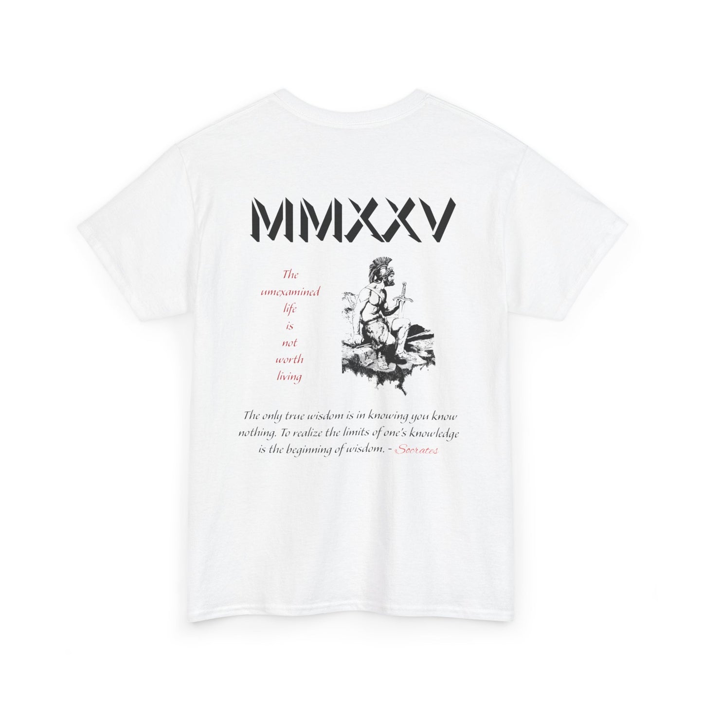 Roman Graphic-T