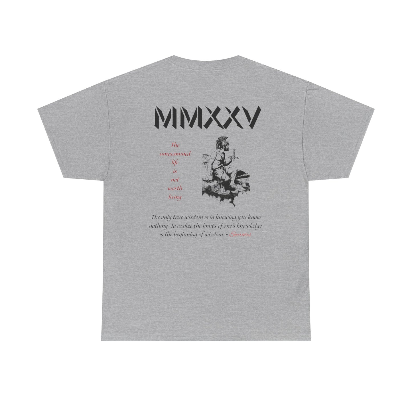 Roman Graphic-T