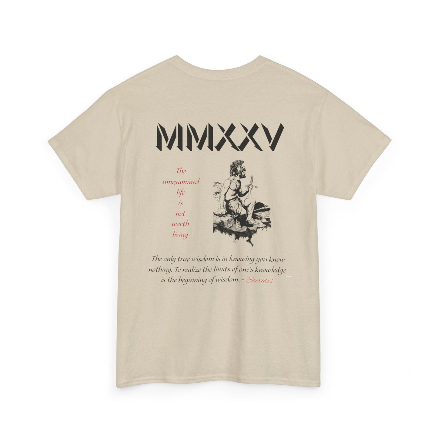 Roman Graphic-T