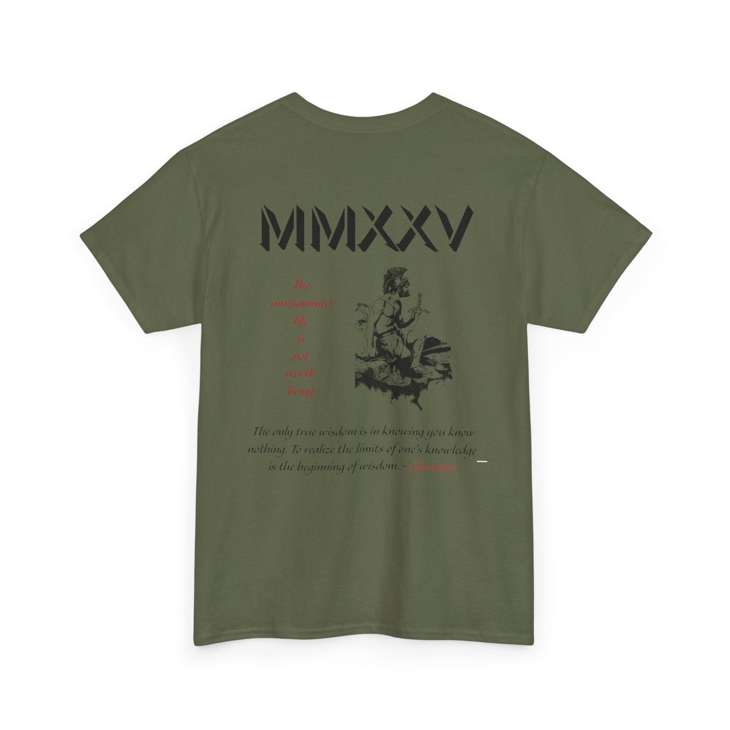 Roman Graphic-T