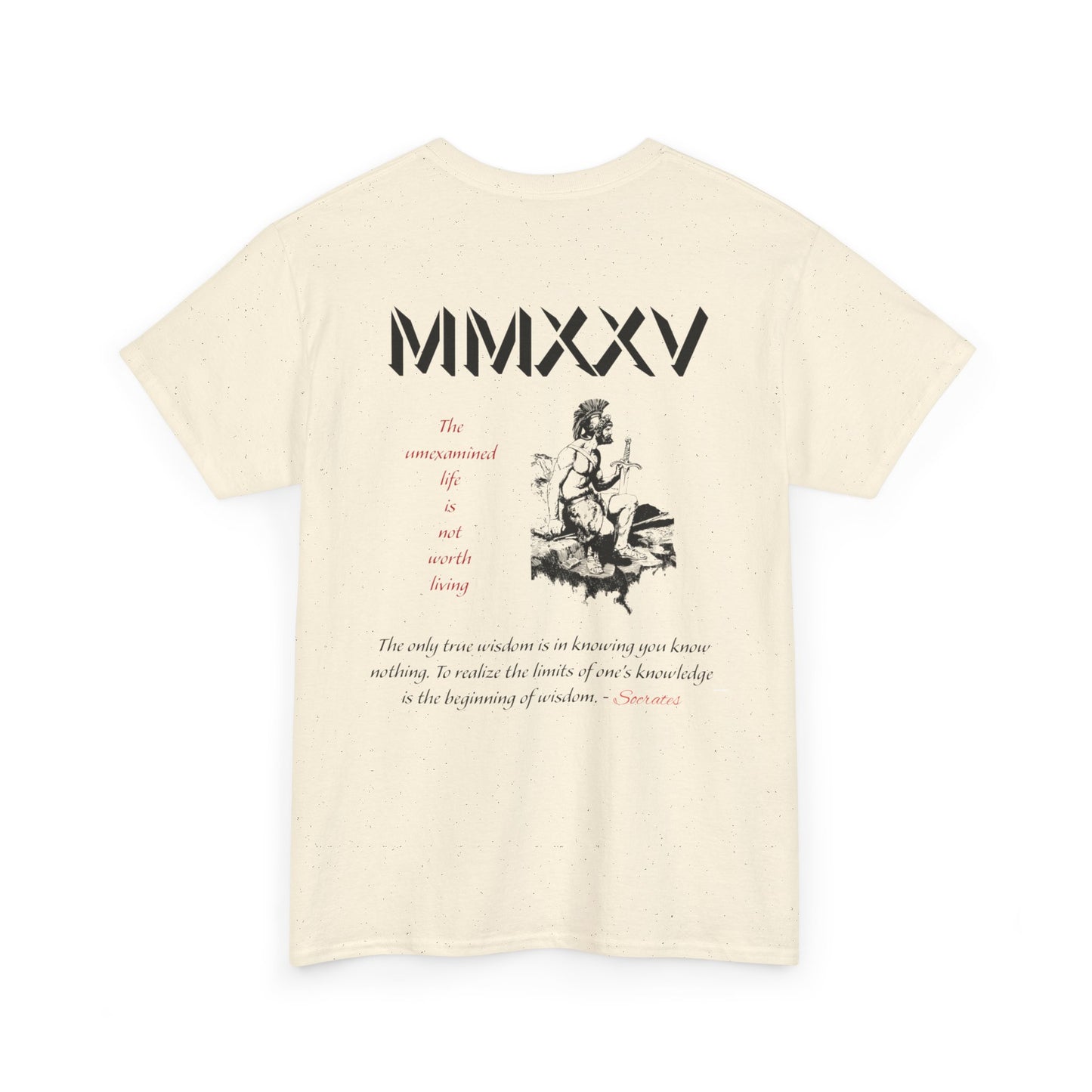 Roman Graphic-T