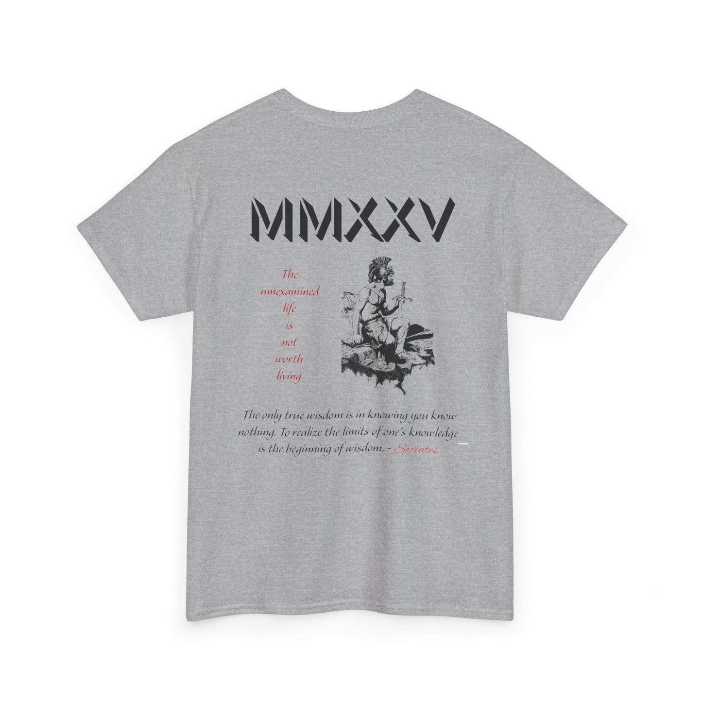 Roman Graphic-T